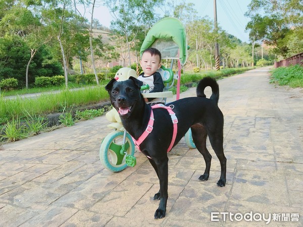 散步遭歧視！膽小汪緊靠1歲保標。（圖／網友李孟璇提供，請勿隨意翻拍，以免侵權。）