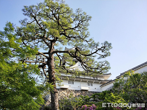 ▲高知縣,高知城,百選名城。（圖／記者呂曉雯攝）