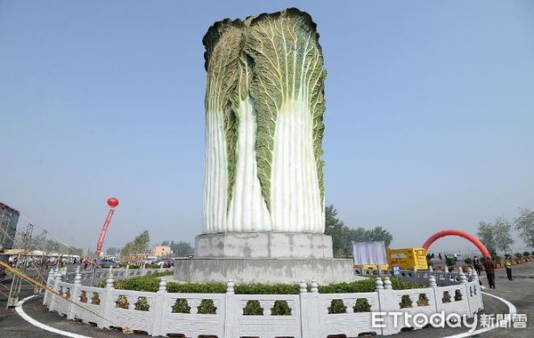 ▲大陸第一高 巨型「大白菜」造型雕塑。（圖／翻攝自大陸網站）