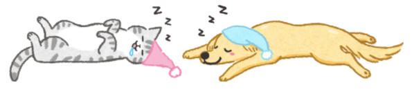 ▲毛起來配圖。