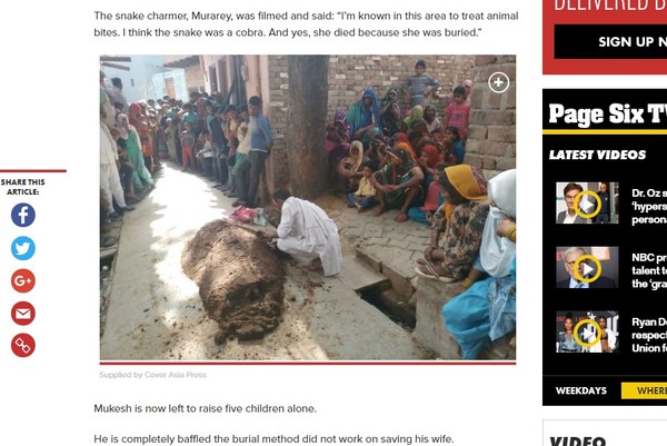 印度婦被蛇咬，遭埋牛糞窒息死。（圖／翻攝自nypost）