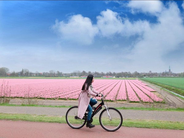 ▲荷蘭「利瑟花田」　騎單車倘佯浪漫花海中。（圖／離開安舒圈的那些日子-英倫篇 Out of Comfort Zone to London提供，請勿任意翻攝以免侵權）