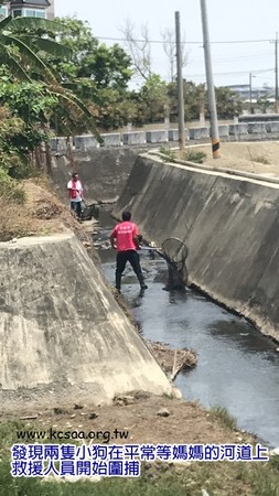 ▲高雄河道狗狗順利救出！1家5口平安脫困。（圖／高雄市關懷流浪動物協會提供）