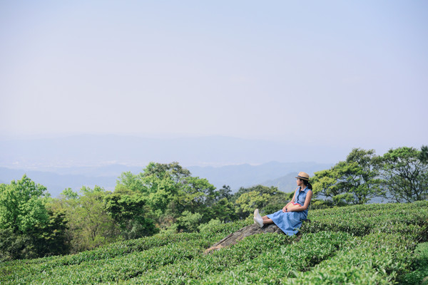 ▲▼三峽一日遊熊空茶園、鳶山。（圖／焦糖熱一點提供）