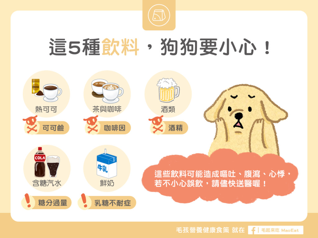喝了會中毒！狗狗絕不能碰「5飲料」...主人務必繃緊神經啊| Ettoday健康雲| Ettoday新聞雲