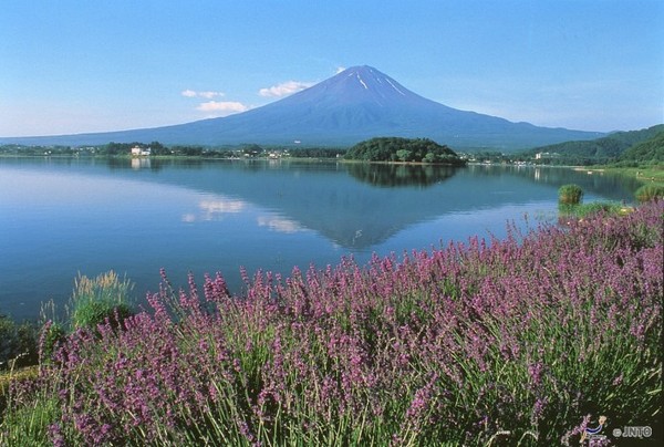 ▲日本富士山3玩法。（圖／Tripbaa提供）