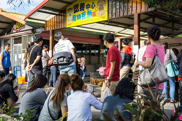 ▲像以前養的狗！收容所遇見接班浪浪　緣份讓他們成為一家人。（圖／新北市動保處提供）