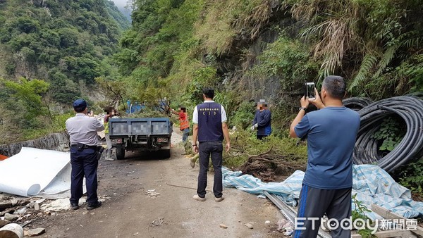 中橫邊坡工程的工頭利用施工之便盜伐台灣刺柏共12棵，經警方及時查獲並將台灣刺柏交由花蓮林管處專業人員進行移植延續生命。（圖／保七總隊提供）