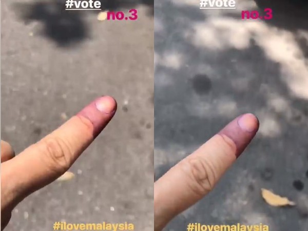 ▲馬來西亞大選藝人趕回家投票！揭露「藍手指」背後用意。（圖／翻攝自張智成IG）