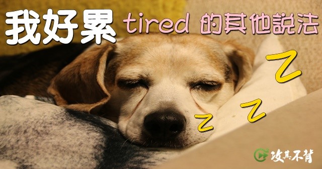「累得跟狗一样」英文怎么说? 快学这7句让老