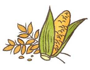 ▲毛起來配圖。