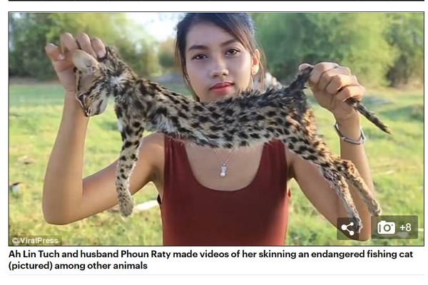 ▲▼柬埔寨的網紅夫妻把瀕臨絕種生物煮來吃，遭到逮捕。（圖／翻攝自Daily Mail）