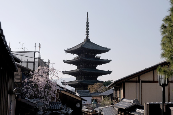 ▲ 京阪奈櫻花景點2018，七大花見名所，哲學之道、蹴下鐵道、大阪城西之丸庭園。關西旅行/HORIZON-WIFI。（圖／男子日常生活提供）