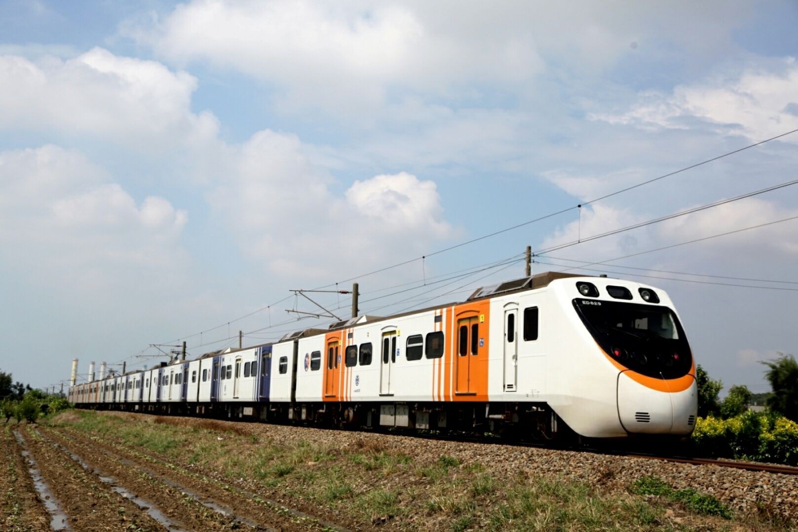 ▲▼台鐵JR四國8000系列車塗裝彩繪列車。（圖／台鐵提供）