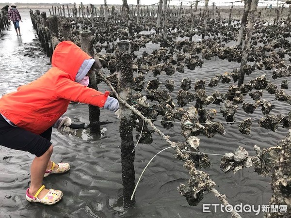 ▲四寶媽帶4個孩子環島露營。（圖／邱鈺婷提供，下同）