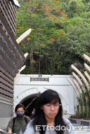 ▲中山大學隧道口上方鳳凰花開。（圖／記者宋德威攝）