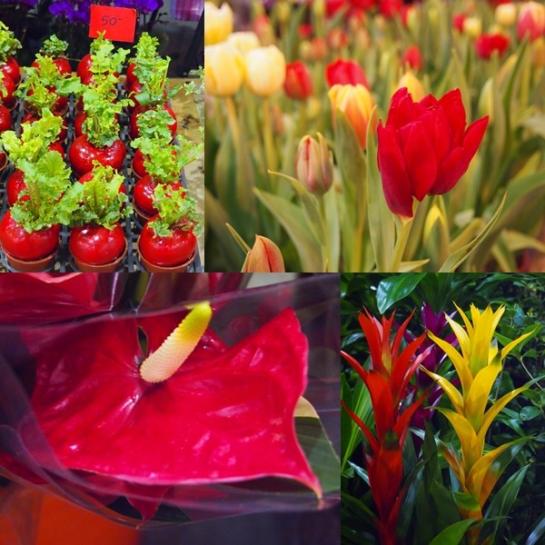 大花利市 建國花市逛到22點闔家買春去 Ettoday旅遊雲 Ettoday新聞雲