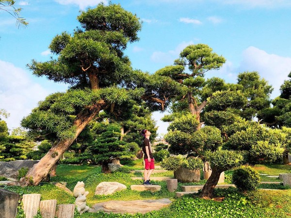 完全是仙境 彰化粉紅版 迷你兼六園 空拍滿園紫薇花爆發好夢幻 Ettoday旅遊雲 Ettoday新聞雲