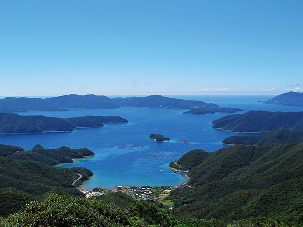 （圖／公主遊輪、奄美群島觀光協會、鹿兒島縣觀光聯盟、Choyce、凱莉哥、蘋果VS西打提供）