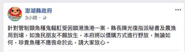 ▲▼澎湖縣政府表示如果漁民不放將以價購方式進行野放：珍貴魚種不應喪命於此。（圖／翻攝澎湖縣政府fb）