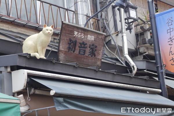 ▲▼東京谷中銀座商店街。（圖／記者蔡玟君攝）