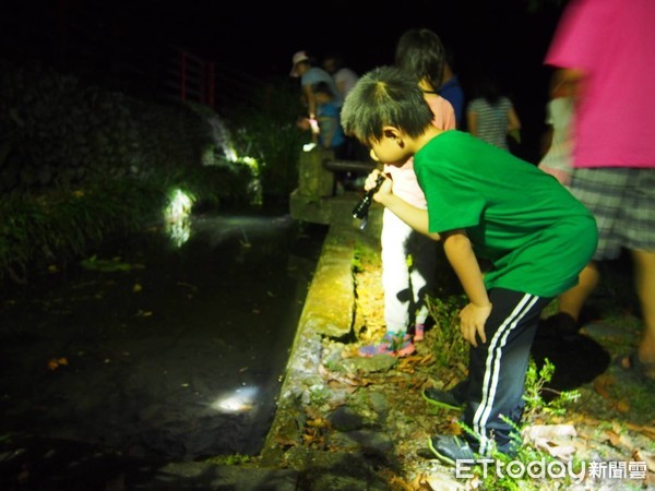 知本自然教育中心將在6-9月間，每月第四週星期六晚上辦理「知本夜世界」主題活動，探訪遊樂區夜間生態，以五感體驗入夜後的森林奇幻樂園。（圖／台東林管處提供）