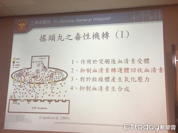 ▲白藜蘆醇在「血清轉運體」卡位　降低搖頭丸傷腦毒性。（圖／記者嚴云岑攝）