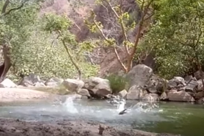 ▲印度3名男子溺水畫面曝光。（圖／翻攝自YouTube）