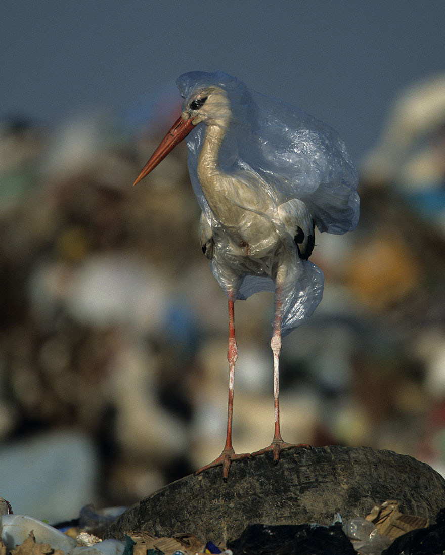 圖／翻攝IG@National Geographic