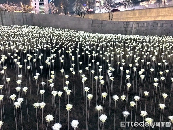 ▲韓國東大門設計廣場浪漫LED燈玫瑰花海。（圖／記者何冠嫻攝）
