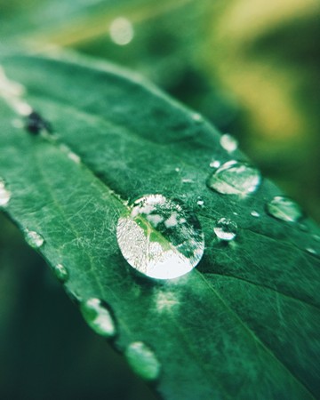 下雨的味道（圖／取自免費圖庫Pixabay）