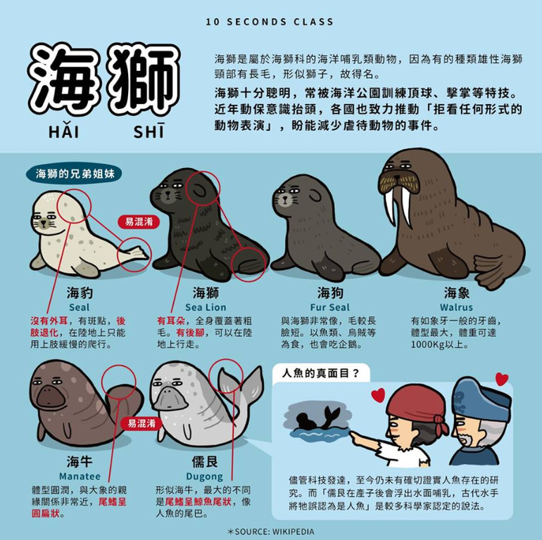 海獅or海狗?一張圖教你10秒分辨 萬名網友狂推:長知識了! | ETtoday寵物雲 | ETtoday新聞雲