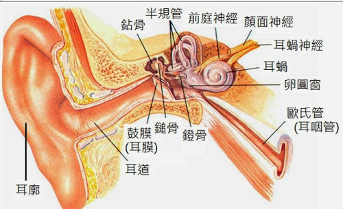 5種真實存在的超能力　但擁有它們的人一點也開心不起來。（圖／wikipedia）