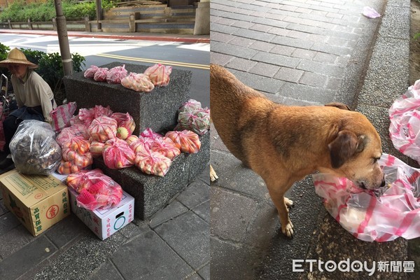 ▲碧潭嬤帶10歲小黃路邊賣菜　「常剩一堆」卻給愛犬吃鮮食。（圖／網友劉姵妏提供）
