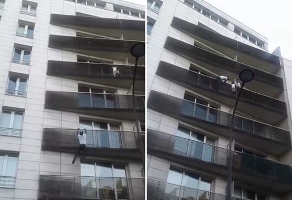 巴黎「蜘蛛人」極速爬4層樓救男童。（圖／翻攝自YouTube／Dominic Labelle）