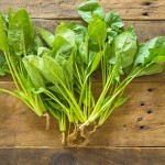 長肌肉，多吃菠菜及含支鏈胺基酸食物就對了