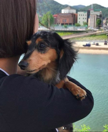 ▲SHINee鐘鉉的狗失蹤3天終於回到家人懷抱。（圖／翻攝自推特）