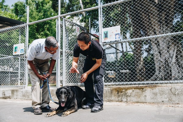 憲兵除役犬認養公開抽籤 　6隻軍犬找到新主人。（圖／軍聞社）