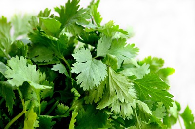 好香菜不吃嗎?營養師盤點香菜「超狂4優點」 顧血管還消肥肉!