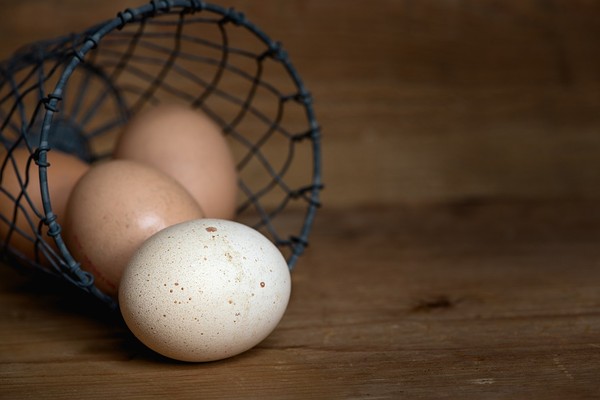 蛋。（圖／pixabay）