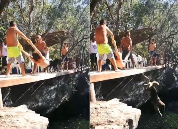 ▲墨西哥狗狗被「人體海盜船」撞入水。（圖／翻攝自Mia Quintero臉書）