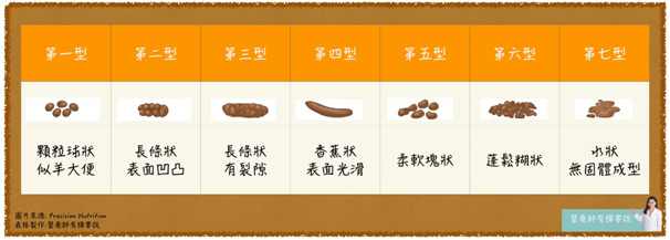▲便便。（製圖／營養師簡鈺樺）
