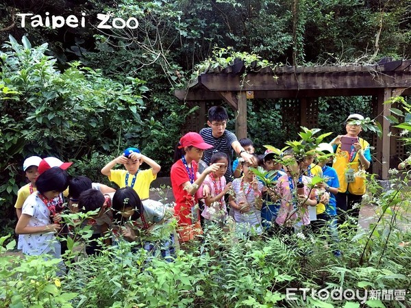暑假到動物園體驗-保育員獸醫師上線（圖／臺北市立動物園提供）