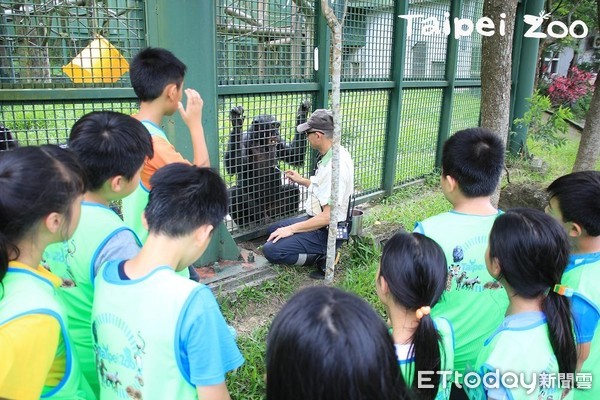 暑假到動物園體驗-保育員獸醫師上線（圖／臺北市立動物園提供）