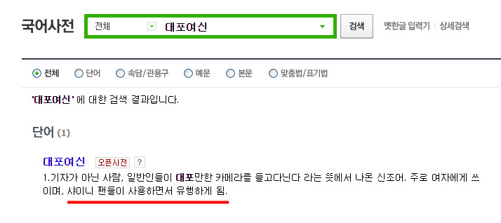▲「大砲女神」一詞被登錄在Naver辭典。（圖／翻攝自Naver）