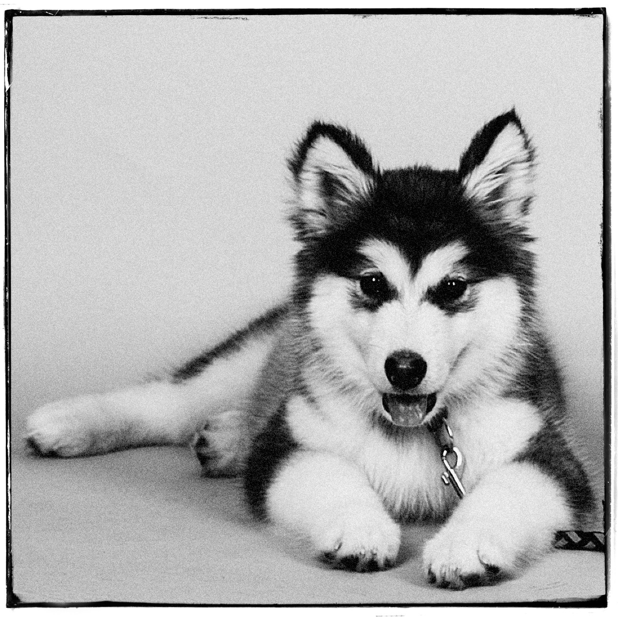 吾齡姑姑石靜雯提供