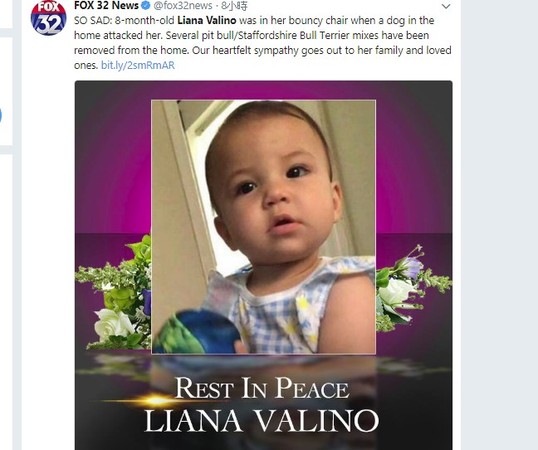 ▲▼佛州8月大女嬰遭狠咬慘死。(圖／翻攝自FOX 32 News推特)