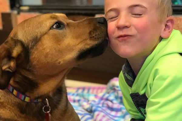 ▲▼美國的6歲小弟已經幫忙拯救了超過1000隻流浪狗。（圖／翻攝自IG projectfreedomride）