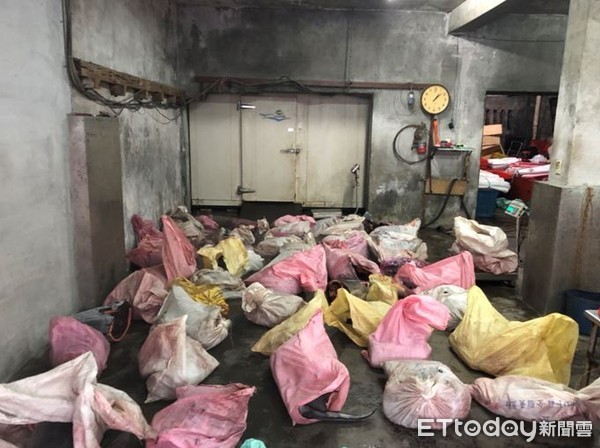 ▲南方澳民宅查獲「1372公斤鯨豚肉」　數十大袋擺滿地板。（圖／海巡署提供）