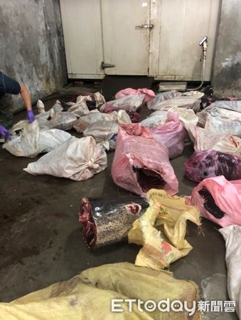 ▲南方澳民宅查獲「1372公斤鯨豚肉」　數十大袋擺滿地板。（圖／海巡署提供）